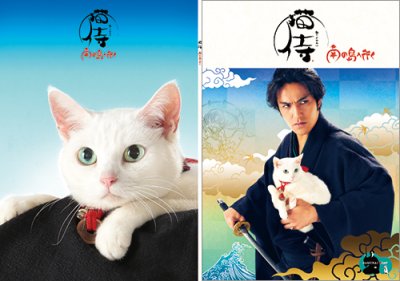 画像1: 送料無料！劇場版『猫侍 南の島へ行く』パンフレット＋クリアファイルセット