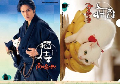 画像3: 送料無料！劇場版『猫侍 南の島へ行く』パンフレット＋クリアファイルセット